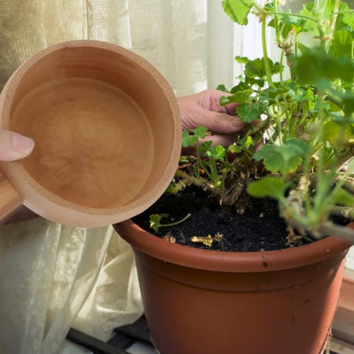 Hemoton Wooden Water Ladle for Sauna, Bath, Garden, Tea Ceremony, Japanese Style