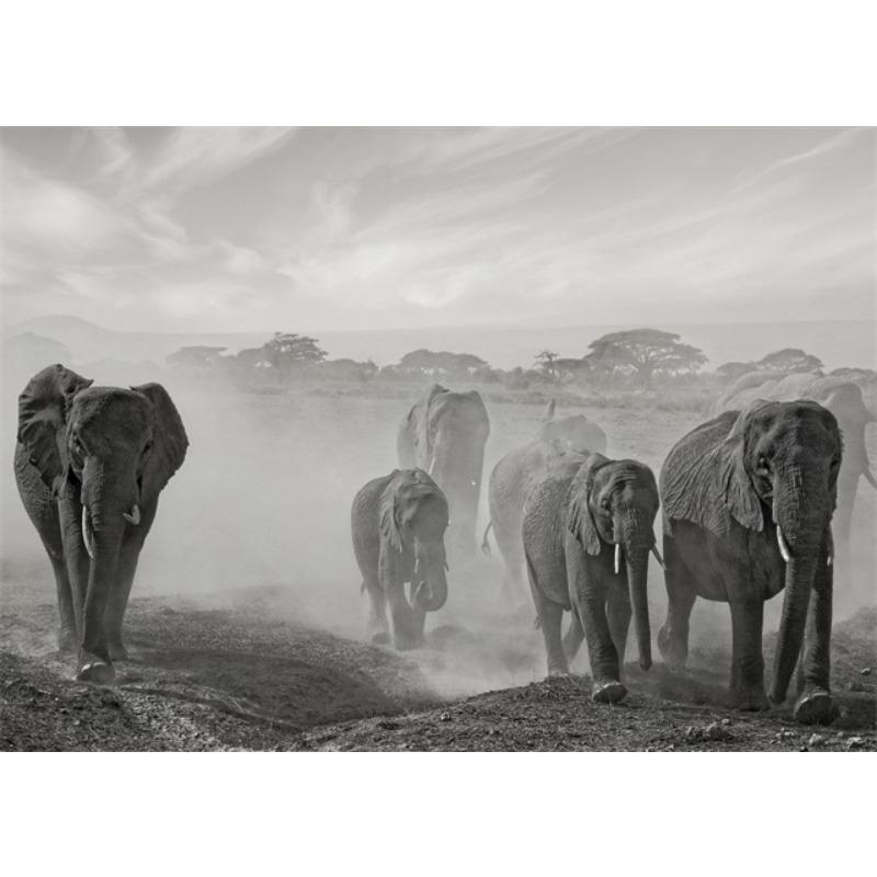 Black and White Animal Elephants Art Canvas Painting Posters and Prints Elephants Family Wall Art Pictures for Living Room Decor