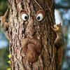 Tree Faces Decor Outdoor,Outdoor Statues Old Man Tree Hugger Bark Ghost Face Decoration Funny Yard Art,Tree Decorations