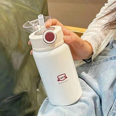 Kızlar ve Öğrenciler İçin Şık 2024 Ins Yüksek Değerli Termos Pipetli Bardak