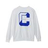 Champion Oatmeal Long Sleeve Crew Neck Sweatshirt with Graphic Logo Men's Print, C3-A033