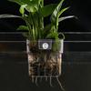 Fish Tank Plant Holder Aquarium Plant Basket with Hook Fish Tank Plant Cup Aquatic Plant Cup Aquarium Decorations Plants Pot
