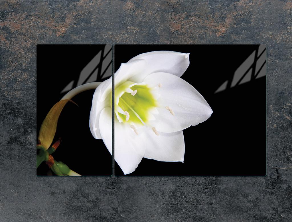 GLAS-KOCHFELD-SCHUTZPLATTE 90x52 ORCHIDEE