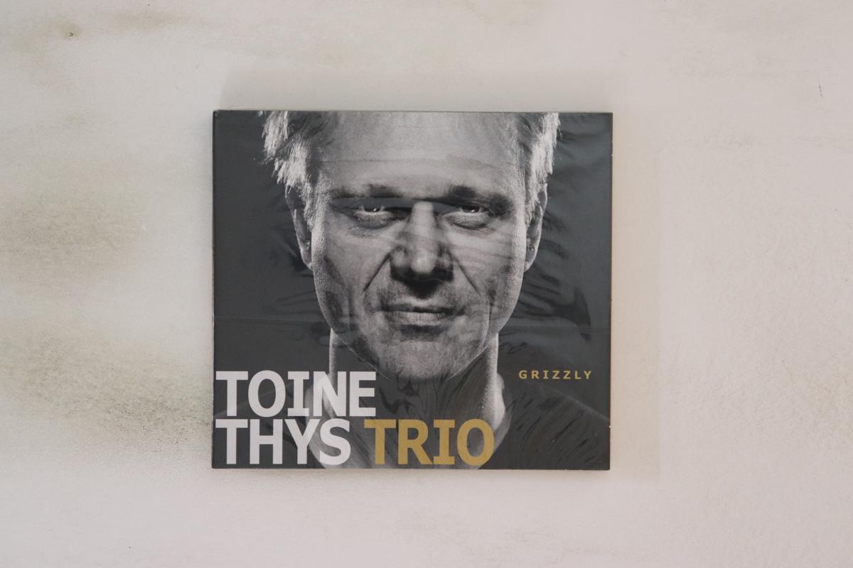 

CD TOINE THYS Grizzly IGL260 IGLOO 2015 Belgium Jazz Used