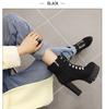 Belt Buckle Ankle Boots - High Platform Cross - Tied Zip, Office Lady Autumn Street Style Plus Size