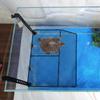 Schildkröten Sonnenplattform Robuste Kletterrampe Leicht für Wasserschildkröten