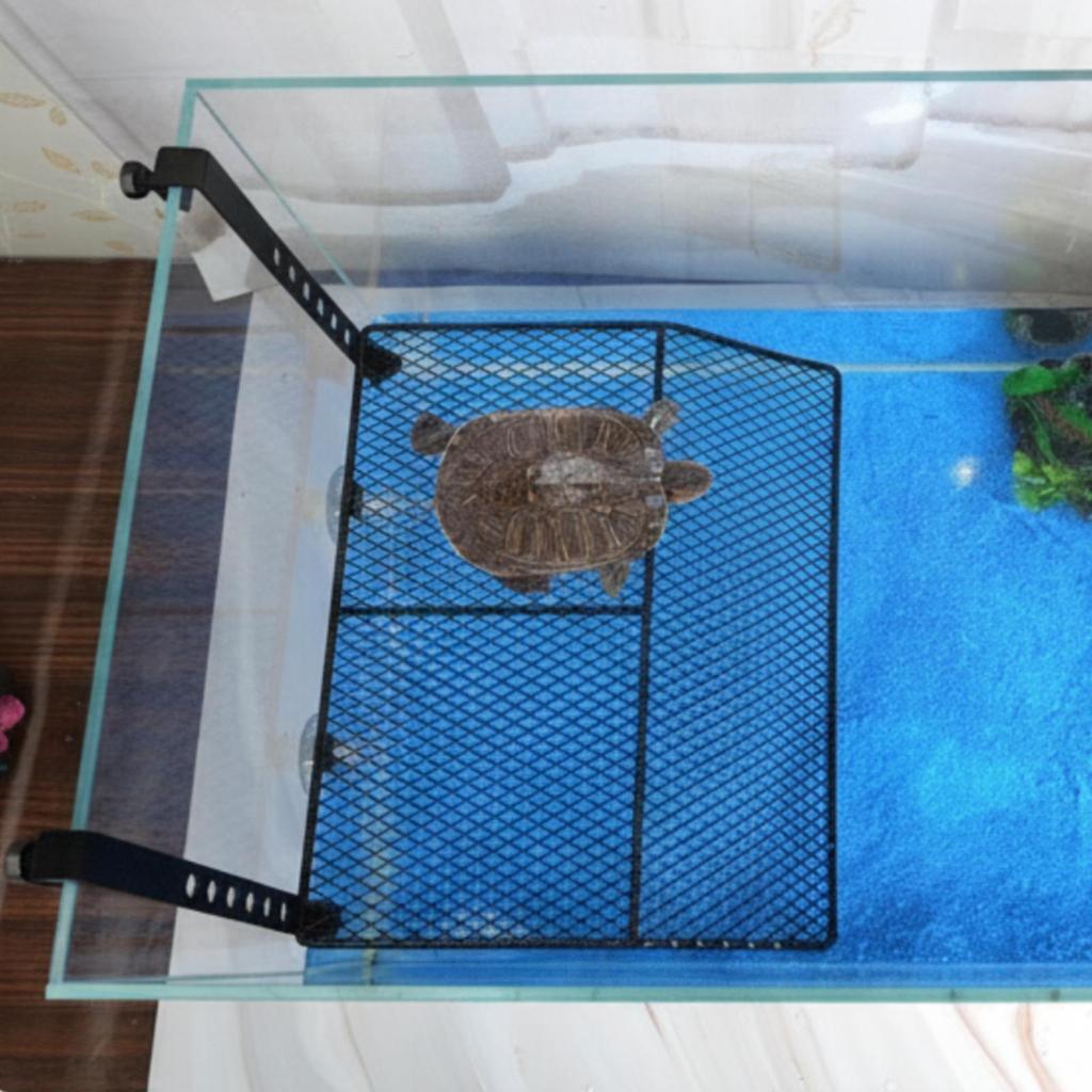 Schildkröten Sonnenplattform Robuste Kletterrampe Leicht für Wasserschildkröten