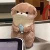Kawaii Otters die Vissen Vasthouden Pluche Pop Schattige Zachte Gevulde Otters Dier Sleutelhangers Lichtgewicht Hangend Bedel Accessoires voor Schooltas