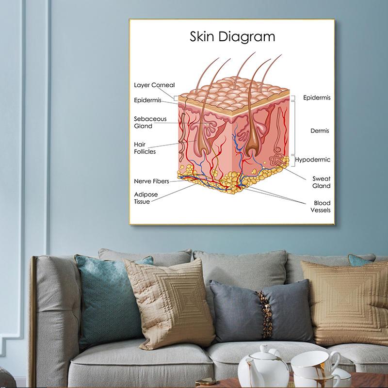 Human Organs Brain Liver Heart Anatomy Poster Print Canvas Painting Human Body Map Medical Classroom Office Room Home Decoration