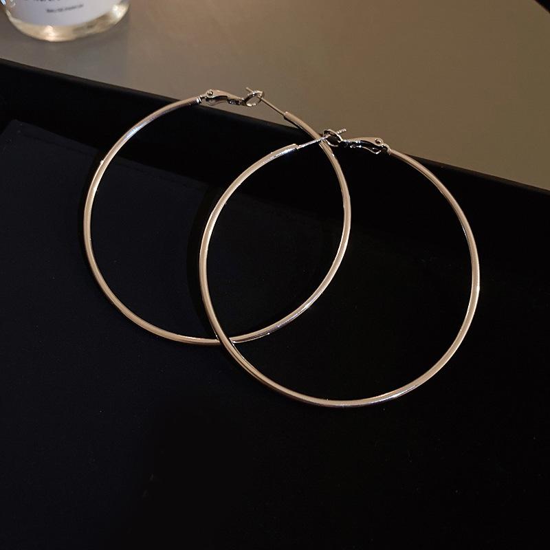 Stylish Silver Needle Round Hoop Earrings: Simple, Fashionable, Versatile, with a Light Luxury Feel