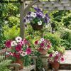 UV Resistant Artificial Morning Glory Handmade Plastic Silk Morning Glory Flowers Realistic Faux Plant Balcony Decor