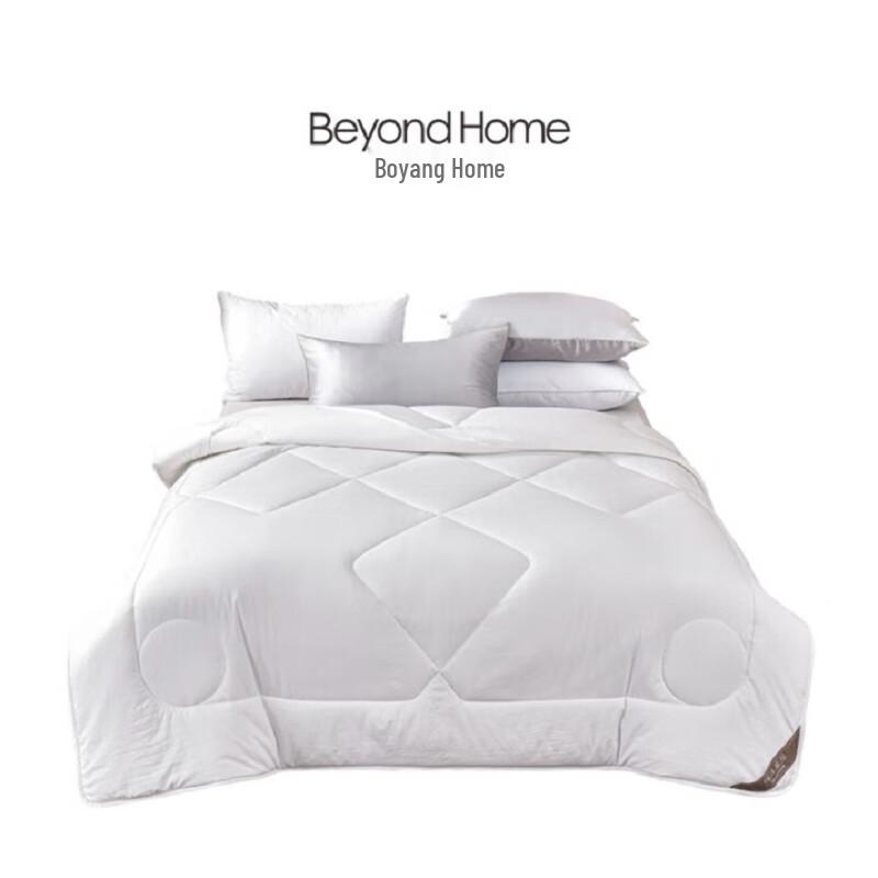 

Boyang Home Skin-Friendly Winter Quilt