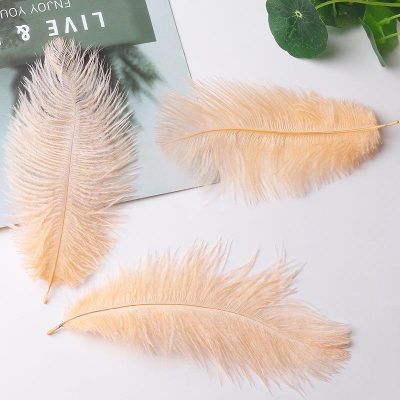 Large 15-20cm Ostrich Feathers for Wedding Arrangements and Stage Props