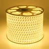BMW 220v LED Strip Lights With EU Power Plug 2835 Flexible Ribbon Tape Waterproof LED Strip 220v for Living Room Garden Lighting