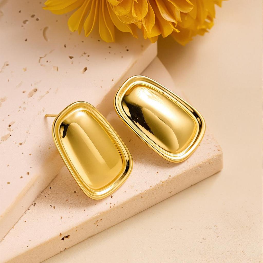 Geometric Irregular 18k Gold Titanium Steel Earrings for Women