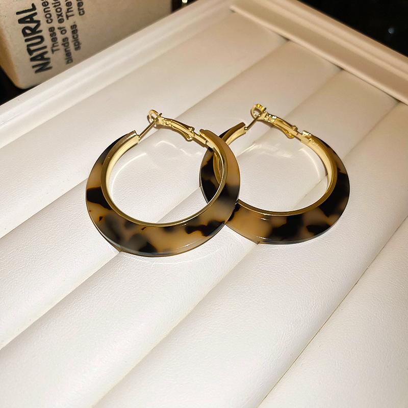 Autumn and Winter Retro Maillard Coffee Color Resin Tiger's Eye Earrings, Ear Buckles, Niche Earrings for Women