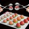 2Pcs Stainless Steel Meatball Maker, Kitchen Tool for Scooping Forming, Non-Stick Meatball Cutter Easy Clean Dishwasher Safe