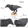 Oenux Forest Bird Animals Wild Ostrich Magpie Owl Crow Flamingos Figurines Action Figure PVC Garden Decoration Miniature Kid Toy