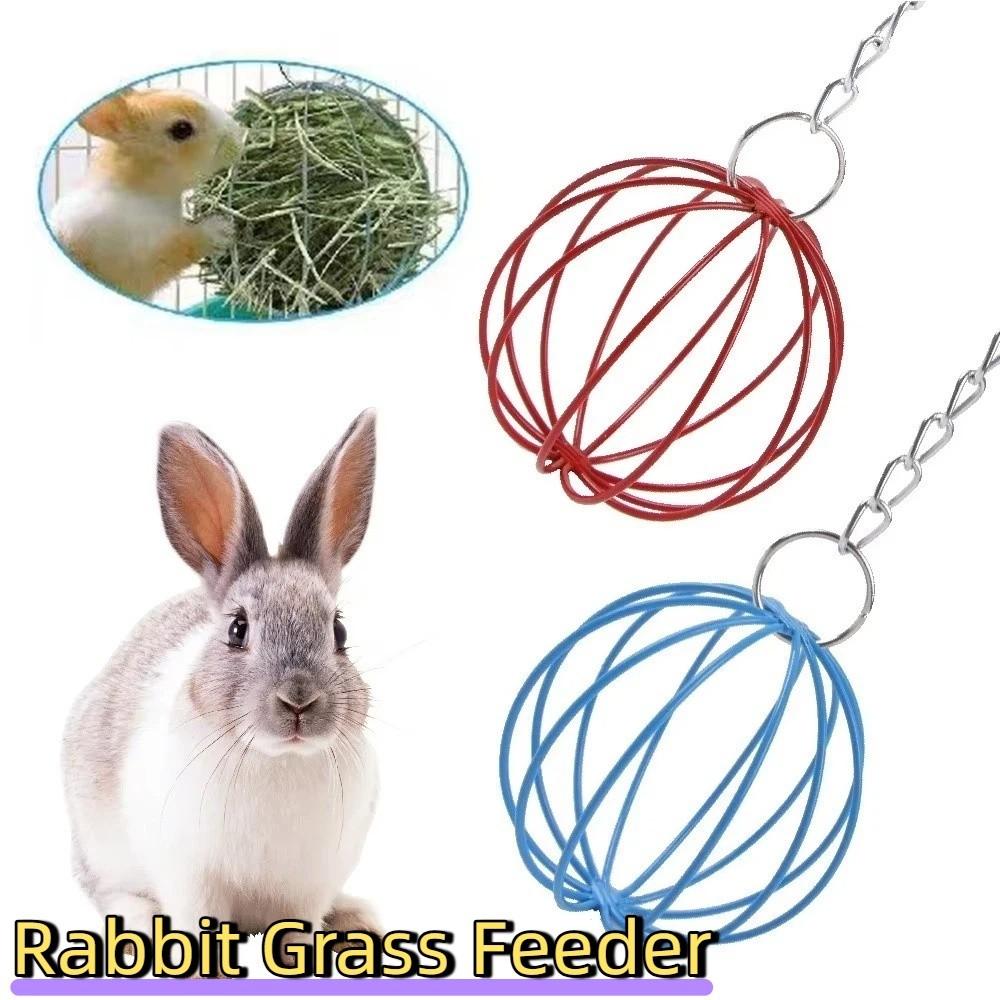 Round Rabbit Grass Feeder Stainless Steel Hay Feeder Ball Hay Holder Hanging Grass Ball Chew Toys