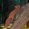 Metal Squirrel Garden Stake, Rustic Iron Animal Silhouette for Outdoor Yard Patio Decor, Vintage Wildlife Lawn Art