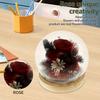 Artificial Rose Flowers Glass Cover Simulation Eternal Rose Flower Mothers Day Gifts Party Supply Valentine's Day Wedding Decor