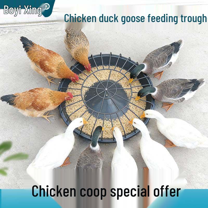 Automatic Thickened Chicken & Water Feed Trough for Free-Range Poultry