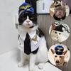 Halloween-Mütze für Katzen und Hunde – Lustiges Haustierprodukt für Fotografie, Cosplay, Polizeimütze, Feiertagskostüm, Chihuahua-Yorkshire-Hut-Accessoires