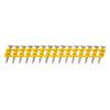 Clous standard pour béton - DEWALT - DCN8901020 - Boîte de 1005 pointes - Zingué - Tir rapide
