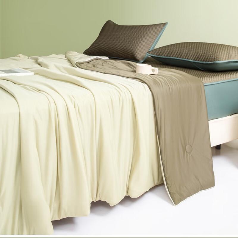 Ailan Huijia Cooling Silk Summer Quilt