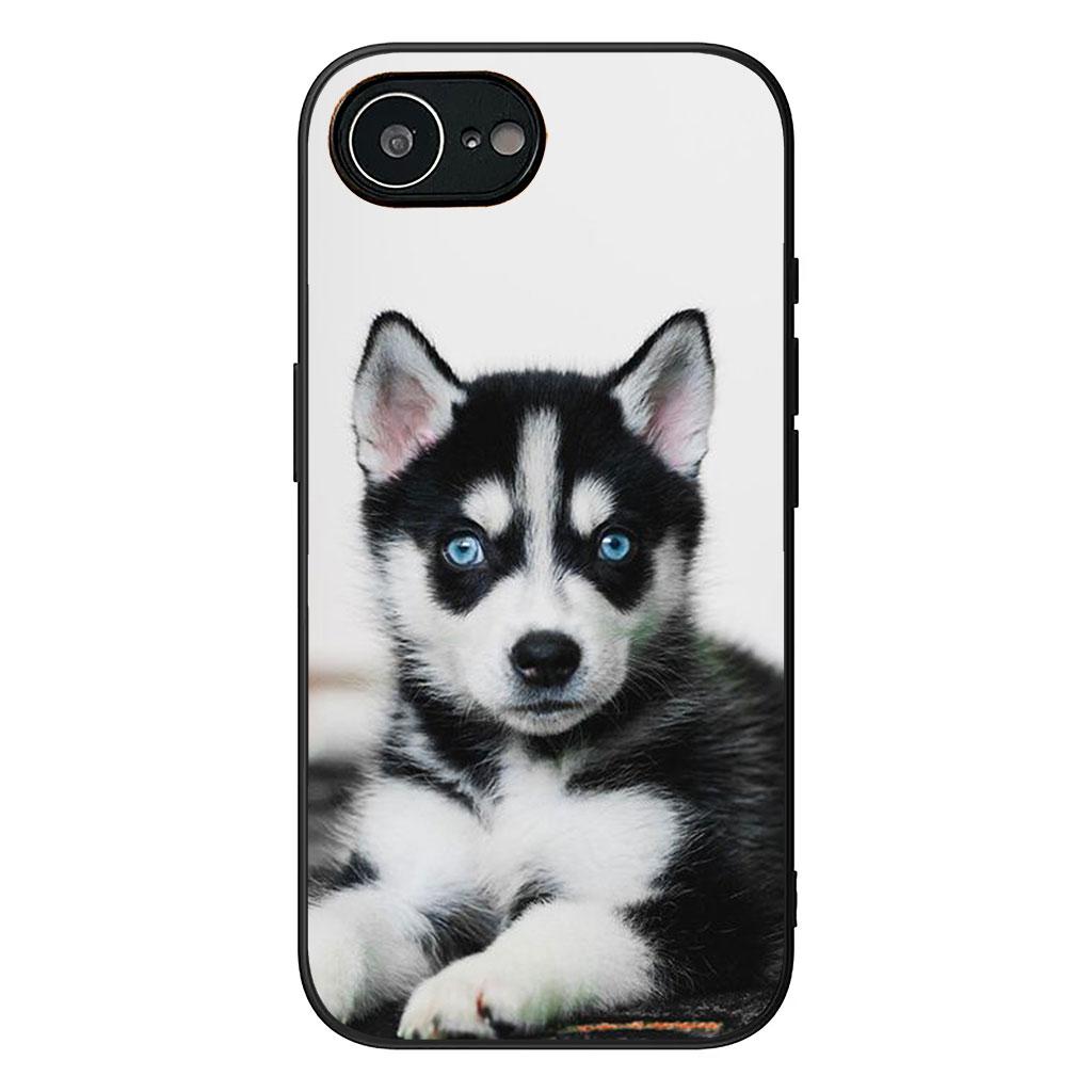 

France Bulldog Dog Husky Casing Phone Cover for Samsung Galaxy A56 A26 A36 A10 A20 A30 A31 A32 A50 A51 A52 A53 A33 A12 A14 Case Galaxy A30s