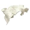 Natural Textured Aquariums Cave Decoration With Multiple Entries For Fish Shrimp Safety And Tanks Environment Enrichment