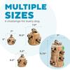Dog Toy Educational Hide Squirrel Find the Squirrel! (Huge 20x32)