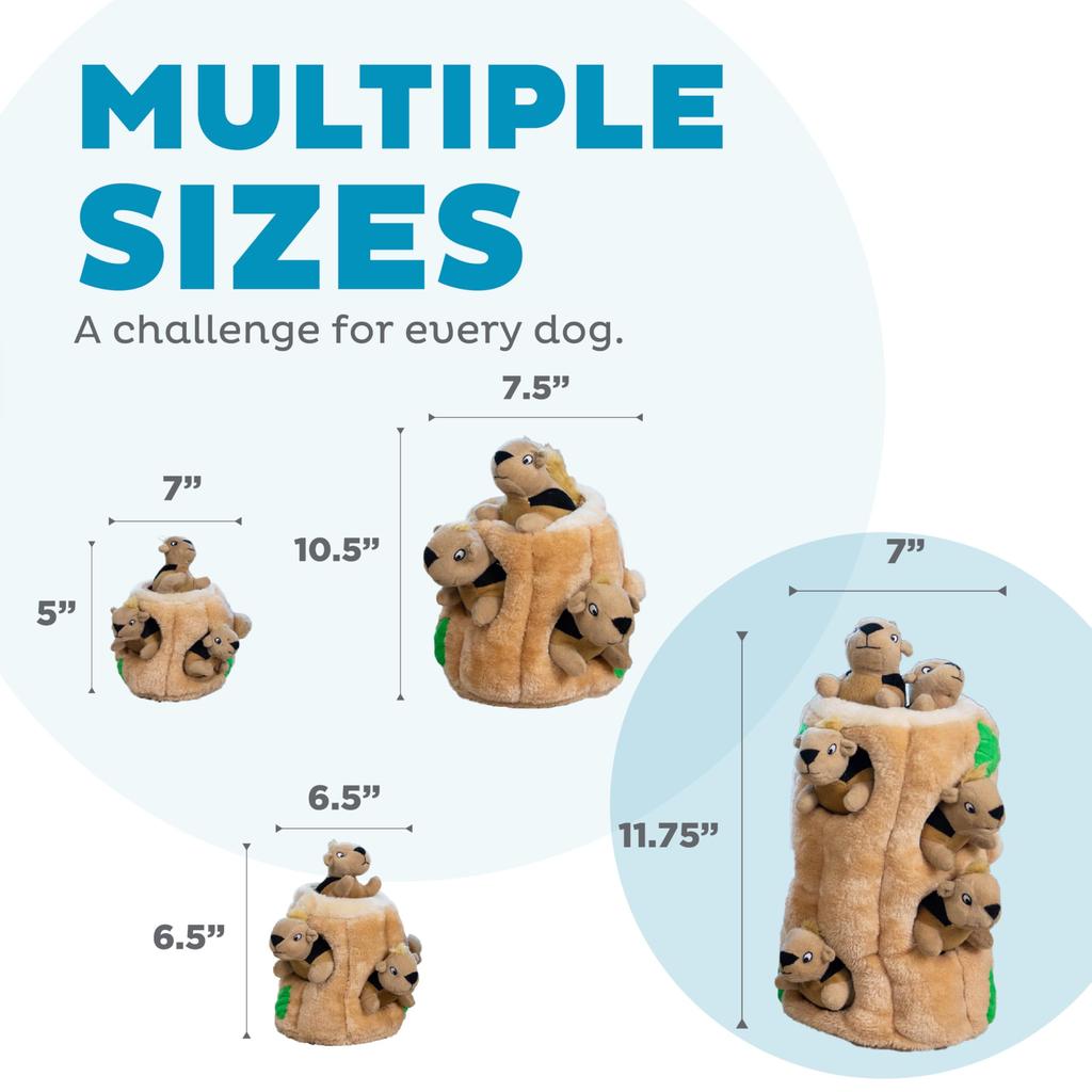 Dog Toy Educational Hide Squirrel Find the Squirrel! (Huge 20x32)