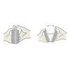 Elegante Abend-Clutch-Taschen Samt-Handtasche Handtasche mit Blatt-Schnalle Ketten-Schultertasche Cocktail-Hochzeitsfeier Abschlussball-Tasche