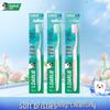 Soft Clean Toothbrush (3-Pack)