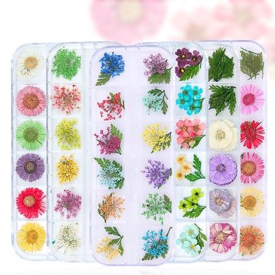 Moda 3D Nail Art Naturale Decorazione Fiori Secchi Set di Fiori Veri Conservati Misti Punte in Gel di Bellezza