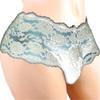 Men's Sexy Lace Briefs - Sheer Mesh Underwear with Comfort Fit for Nightwear and Occasions