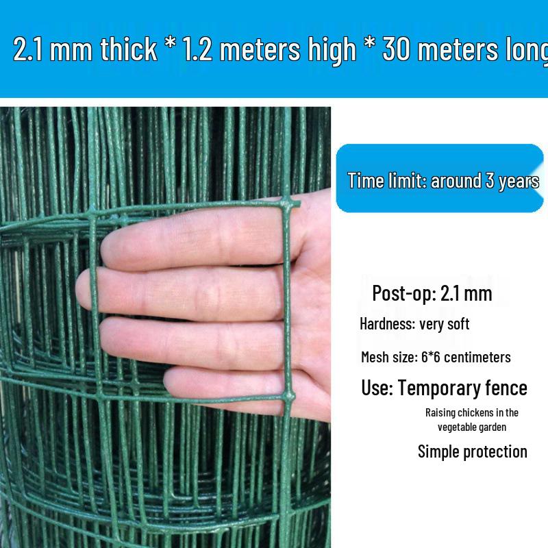 Rustproof Green Plastic-Coated Mesh Wire Fence for Chicken Enclosure
