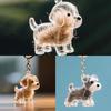 Transparent Dog Hair Souvenirs Case Dog Hair Hair Storage Capsule Pendant Puppy Hair Storage Box Charm Pet Collection Pendant