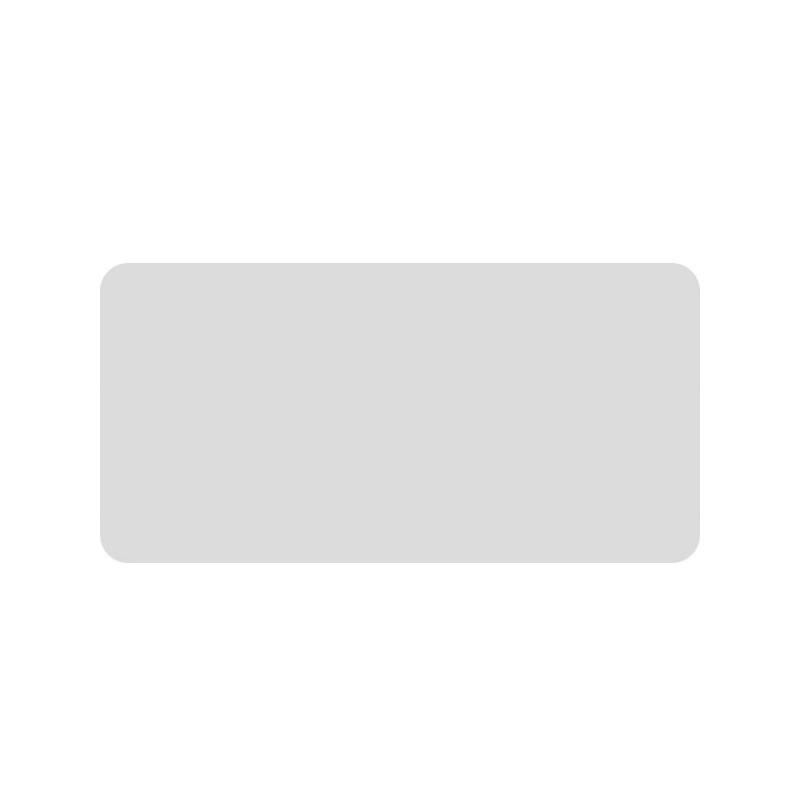 Wanyou Matte Silver PET Label Paper