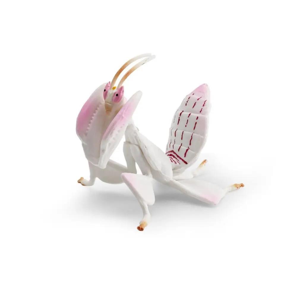 2Pcs Funny Plastic Locust Animal Model Vivid Cartoon Locust Statue Early Educational Animal