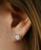 Reve Rv-Lab Diamond 0.5 Carat Phal. Love Earrings