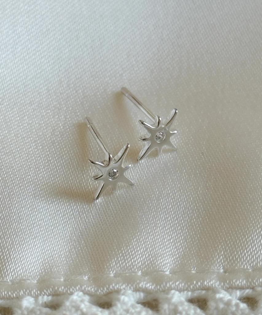 Dungeureon [925 Silver] Sparkle Earrings