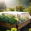 Garden Netting Barrier Mesh Garden 8X13Ft Plant Barrier Ultra Fine Reusable Thicken Plant Covers Bird Netting For Tree Vegetable