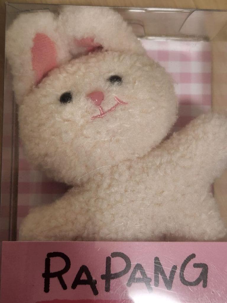 [USED] Pangomu Lapin 13cm Key Ring