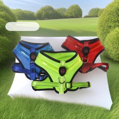 Perros – Collares y correas