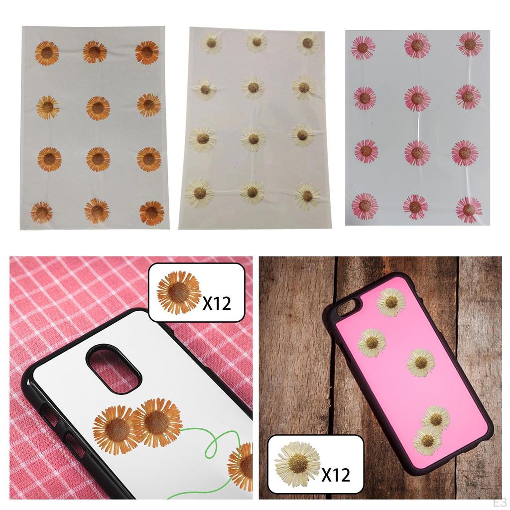12 Pcs Dried Pressed Flowers DIY Art Craft Photography Props for Phone Case