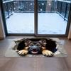 3D Rugs Optical Illusion Squirrel And Dog Soft Non-Slip Quick Dry Mat 3D Optical Illusion Rug For Birthday Halloween