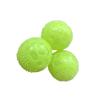 Elastic Luminous TPR Dog Toy Ball - Bite-Resistant Squeaky Toy for Teeth Cleaning