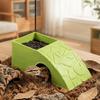 Anti Drowning Reptile Hideout Cave Plastic Automatic Feeding Plate  Turtle Tank Ornaments